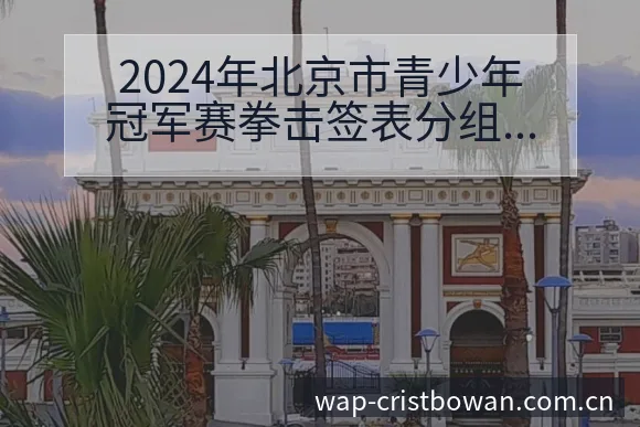 2024年北京市青少年冠军赛拳击签表分组与排名走势分析 - 博万体育