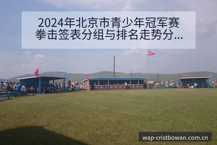 2024年北京市青少年冠军赛拳击签表分组与排名走势分析 - 博万体育
