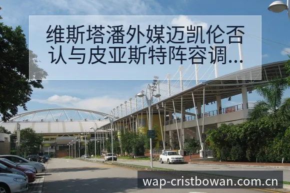 维斯塔潘外媒迈凯伦否认与皮亚斯特阵容调整战术价值分析 - 博万体育